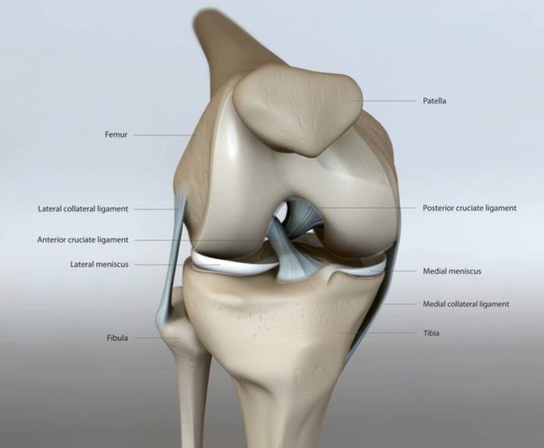 ひざ痛の身体機能診断